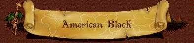 American Black