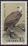 Himalayan Griffon (Copyright 2000)