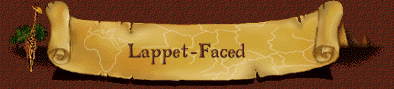 Lappet-Faced